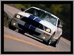 Ford Mustang, Shelby